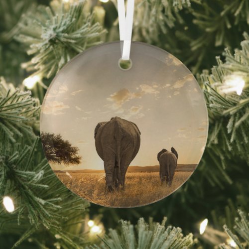 Cutest Baby Animals  Elephant Calf  Mother Glass Ornament