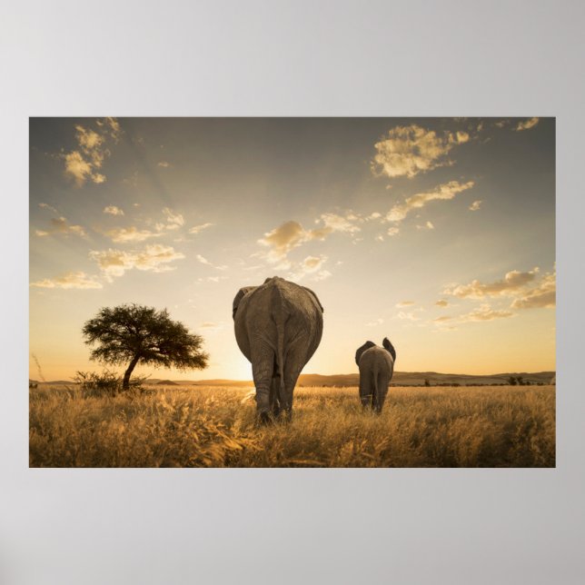 Cutest Baby Animals | Elephant Calf & Mother Poster (Front)