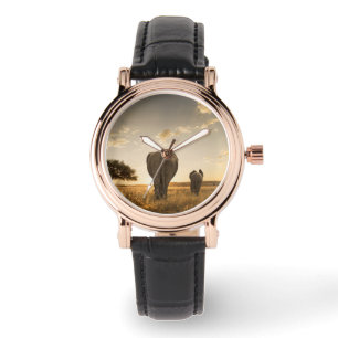 Cutest Baby Animals   Elephant Calf & Mother Watch