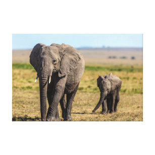 Cutest Baby Animals   Elephant Mother & Baby Canvas Print
