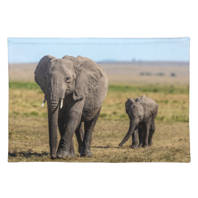 Cutest Baby Animals | Elephant Mother & Baby Cloth Placemat (Front)