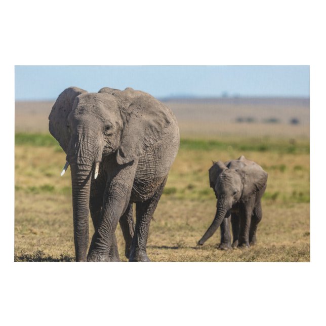 Cutest Baby Animals | Elephant Mother & Baby Faux Canvas Print (Front)