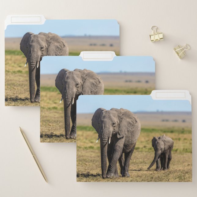 Cutest Baby Animals | Elephant Mother & Baby File Folder (Set)