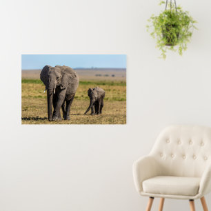 Cutest Baby Animals   Elephant Mother & Baby Foam Board