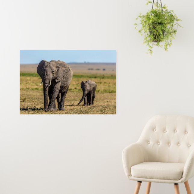 Cutest Baby Animals | Elephant Mother & Baby Foam Board (In Situ (Wall))