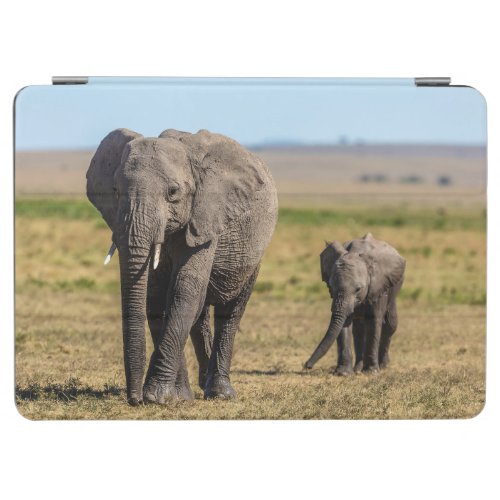 Cutest Baby Animals  Elephant Mother  Baby iPad Air Cover