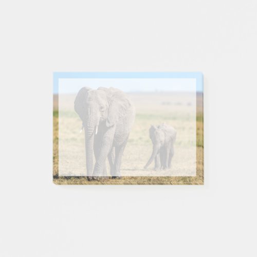 Cutest Baby Animals  Elephant Mother  Baby Post_it Notes