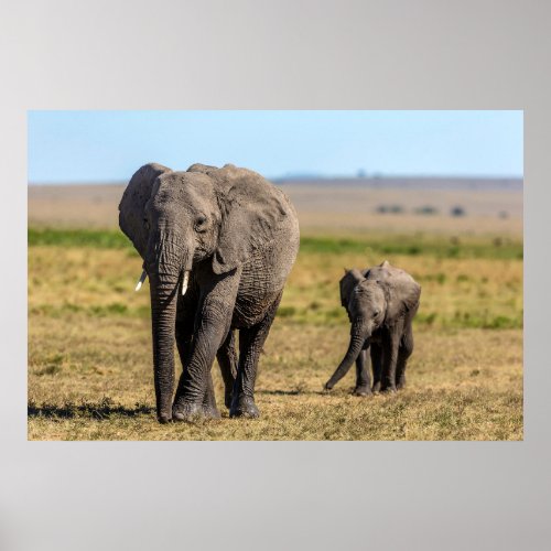 Cutest Baby Animals  Elephant Mother  Baby Poster
