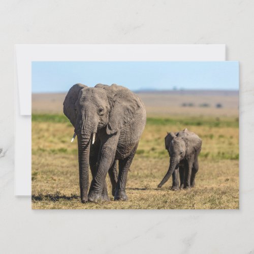 Cutest Baby Animals  Elephant Mother  Baby Thank You Card