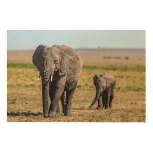 Cutest Baby Animals Elephant Mother & Baby Wood Wall Art