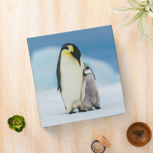Cutest Baby Animals   Emperor Penguin Chick 3 Ring Binder