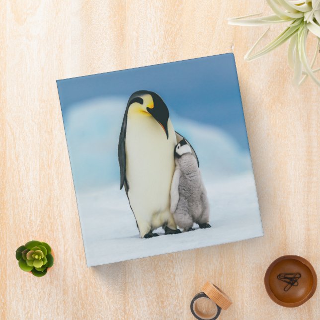 Cutest Baby Animals | Emperor Penguin Chick 3 Ring Binder (In Situ)