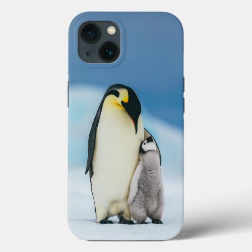 Cutest Baby Animals  Emperor Penguin Chick iPhone 13 Case
