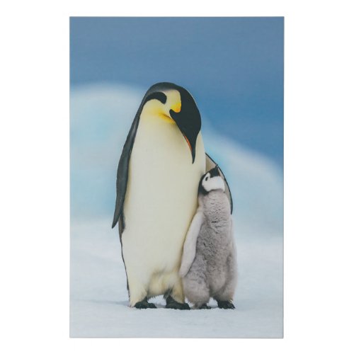 Cutest Baby Animals  Emperor Penguin Chick Faux Canvas Print