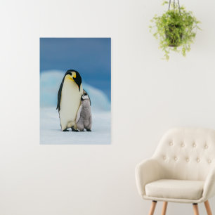 Cutest Baby Animals   Emperor Penguin Chick Foam Board
