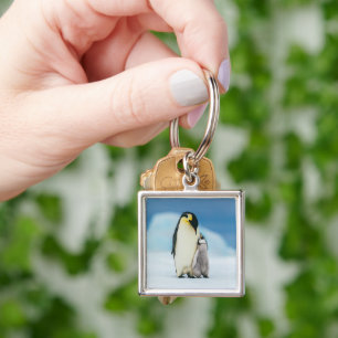 Cutest Baby Animals   Emperor Penguin Chick Keychain