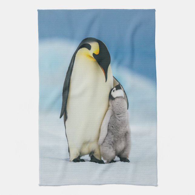 Cutest Baby Animals | Emperor Penguin Chick Kitchen Towel (Vertical)