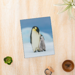 Cutest Baby Animals Emperor Penguin Chick Mini Binder
