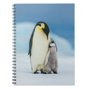 Cutest Baby Animals   Emperor Penguin Chick Notebook