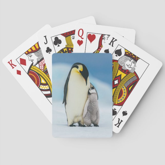 Cutest Baby Animals | Emperor Penguin Chick Poker Cards (Back)