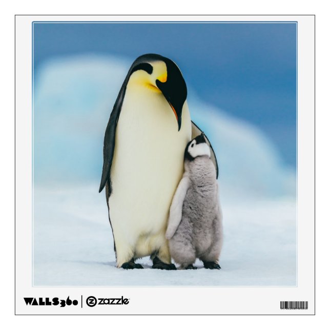Cutest Baby Animals | Emperor Penguin Chick Wall Decal (Front)
