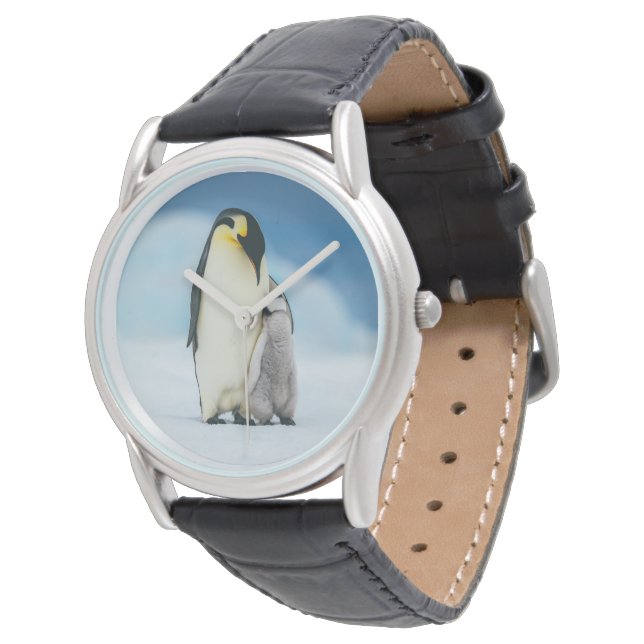 Cutest Baby Animals | Emperor Penguin Chick Watch (Angled)