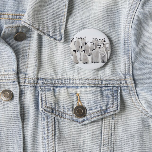 Cutest Baby Animals | Emperor Penguin Chicks Button (In Situ)