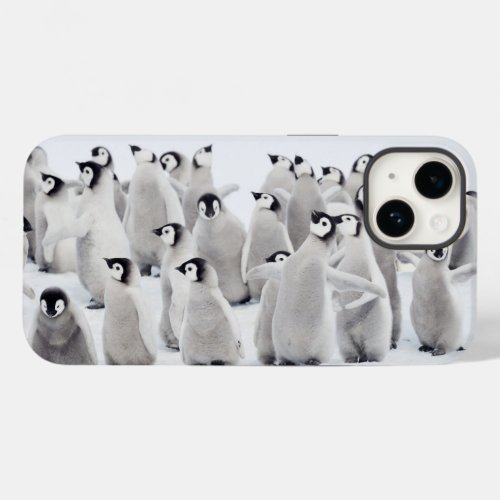 Cutest Baby Animals  Emperor Penguin Chicks Case_Mate iPhone 14 Case