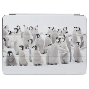 https://rlv.zcache.com/cutest_baby_animals_emperor_penguin_chicks_ipad_air_cover-rebcc68e911c64defa9b25c75d3b6903a_zwdbw_307.jpg?rlvnet=1