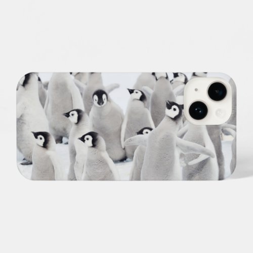 Cutest Baby Animals  Emperor Penguin Chicks iPhone 14 Case