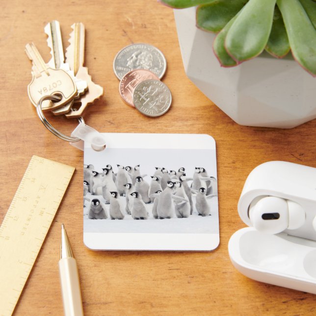 Cutest Baby Animals | Emperor Penguin Chicks Keychain (Desk)