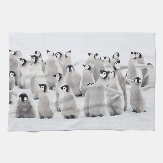 Cutest Baby Animals | Emperor Penguin Chicks Kitchen Towel (Horizontal)