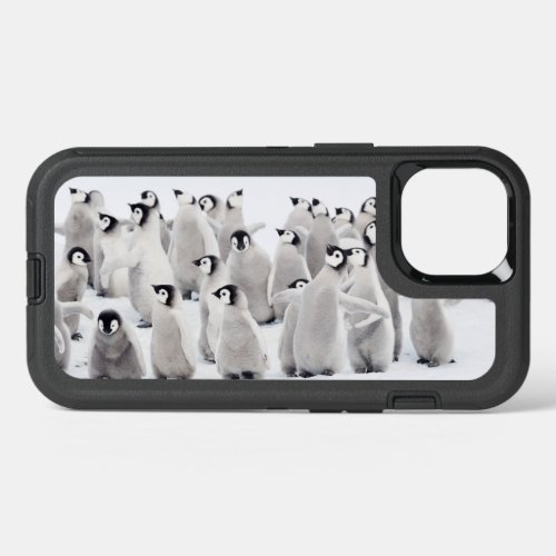 Cutest Baby Animals  Emperor Penguin Chicks iPhone 13 Case