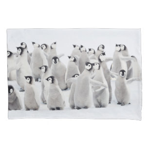 Cutest Baby Animals   Emperor Penguin Chicks Pillow Case