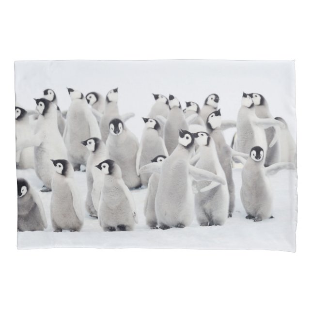 Cutest Baby Animals | Emperor Penguin Chicks Pillow Case (Front)