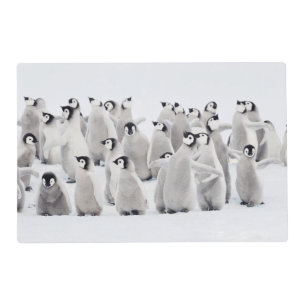 Cutest Baby Animals Emperor Penguin Chicks Placemat