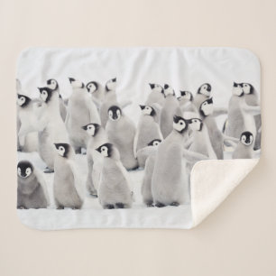 Cutest Baby Animals Emperor Penguin Chicks Sherpa Blanket