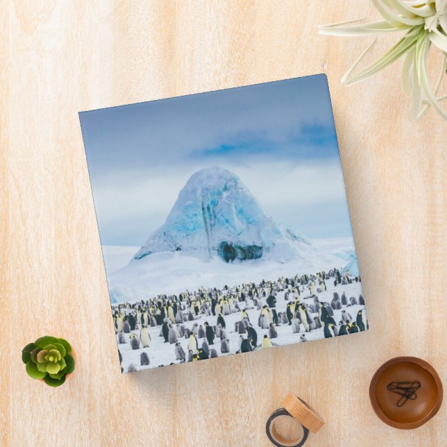 Cutest Baby Animals | Emperor Penguin Colony 3 Ring Binder (In Situ)