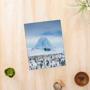 Cutest Baby Animals Emperor Penguin Colony Mini Binder