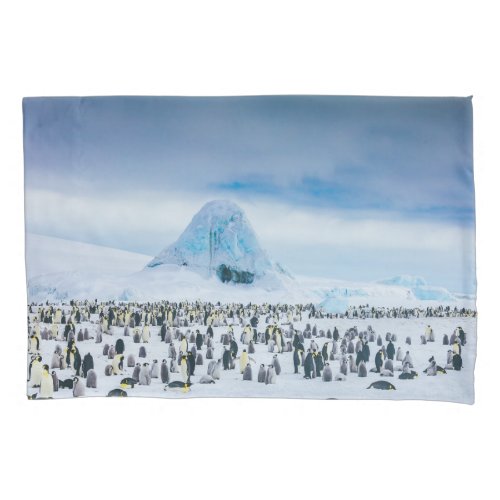 Cutest Baby Animals  Emperor Penguin Colony Pillow Case