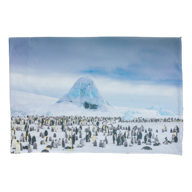 Cutest Baby Animals | Emperor Penguin Colony Pillow Case (Front)
