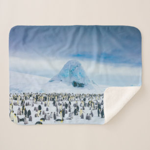 Cutest Baby Animals Emperor Penguin Colony Sherpa Blanket