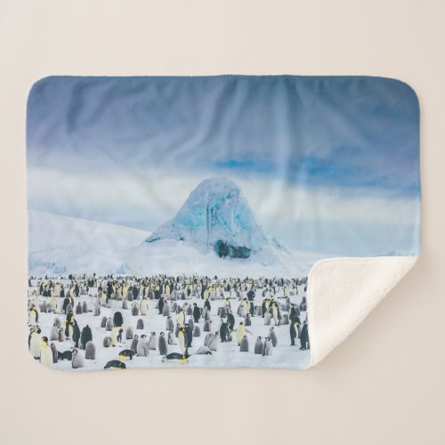 Cutest Baby Animals  Emperor Penguin Colony Sherpa Blanket