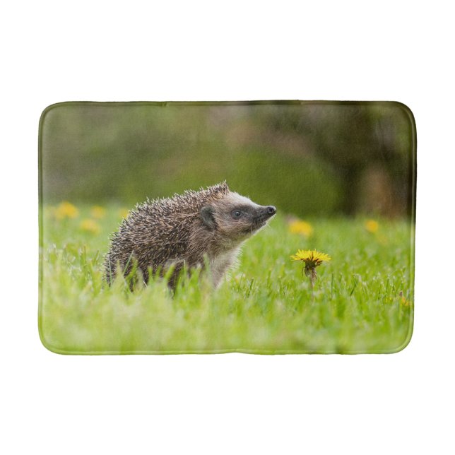Cutest Baby Animals | European Hedgehog Bath Mat (Front)
