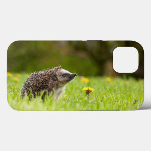 Cutest Baby Animals European Hedgehog iPhone 13 Case