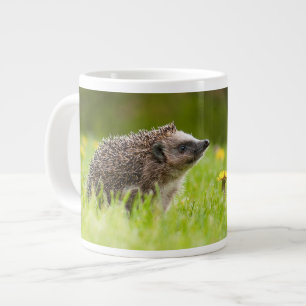 Cutest Baby Animals European Hedgehog Giant Coffee Mug