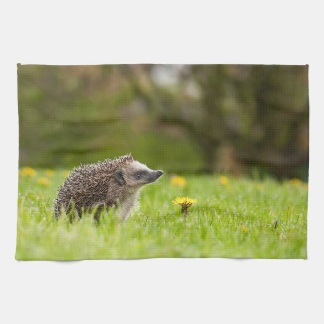 Cutest Baby Animals | European Hedgehog Kitchen Towel (Horizontal)