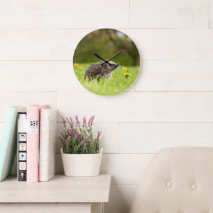 Cutest Baby Animals   European Hedgehog Large Clock