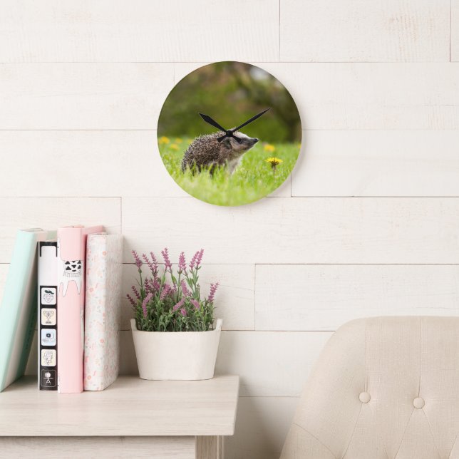 Cutest Baby Animals | European Hedgehog Large Clock (Reading Room)