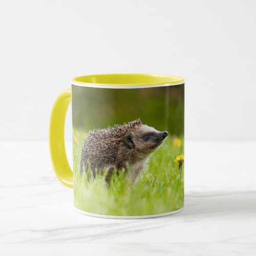 Cutest Baby Animals  European Hedgehog Mug